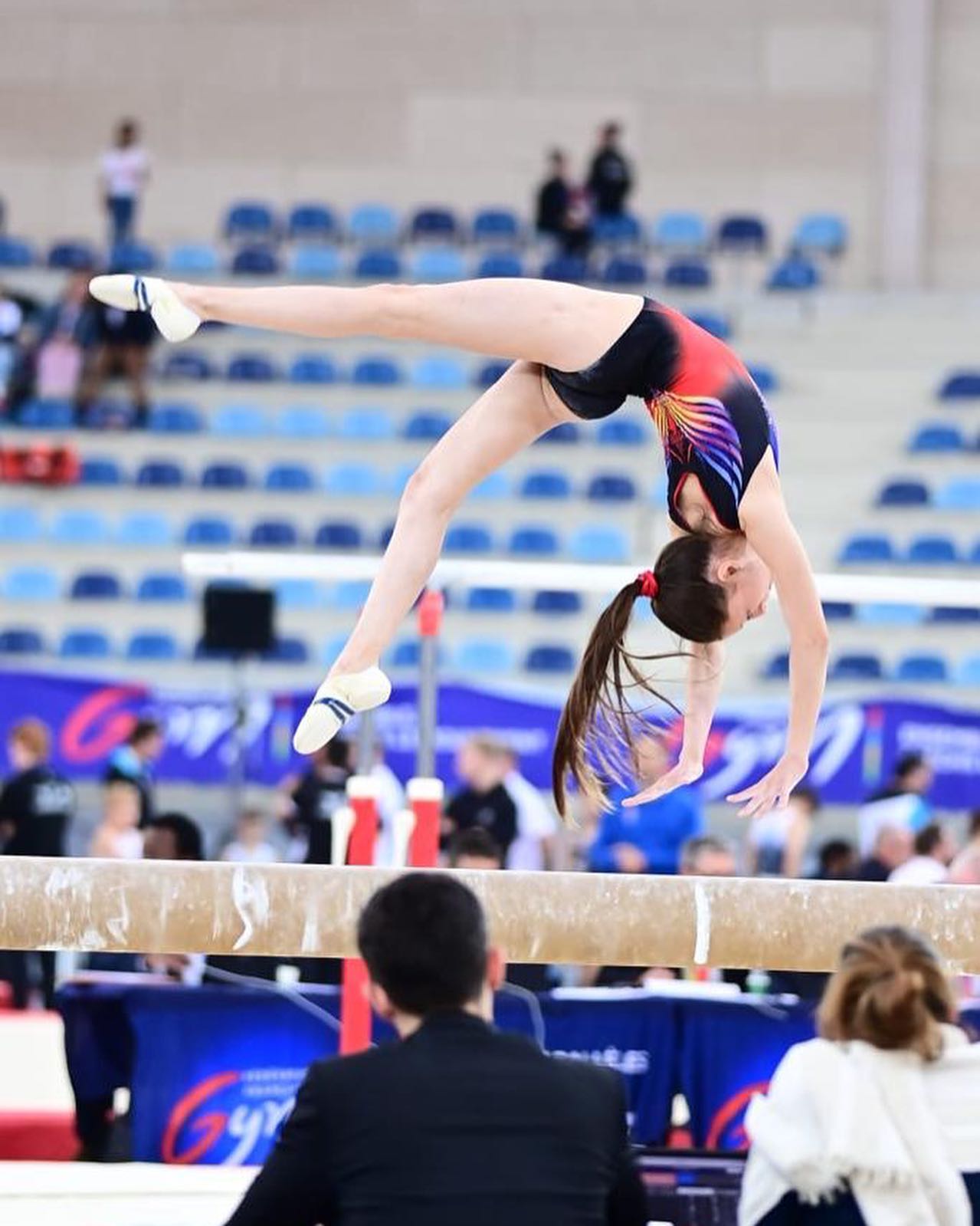 COMPÉTITION ACADEMIQUE DE GYMNASTIQUE | COLLEGE EDOUARD GLISSANT